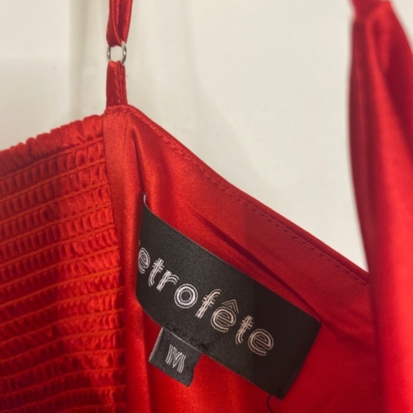 Retrofete Samantha Dress in Red - Picture 6 of 6